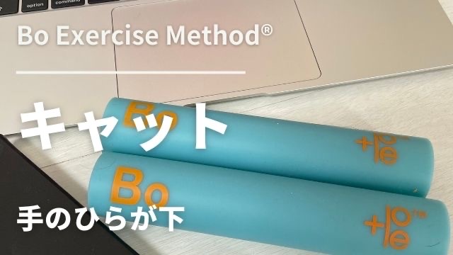 4-T004 キャット　手のひらが下