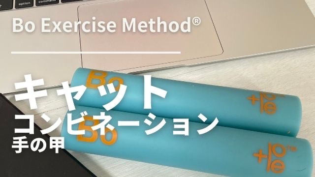 6-T006 キャット　コンビネーション　手の甲