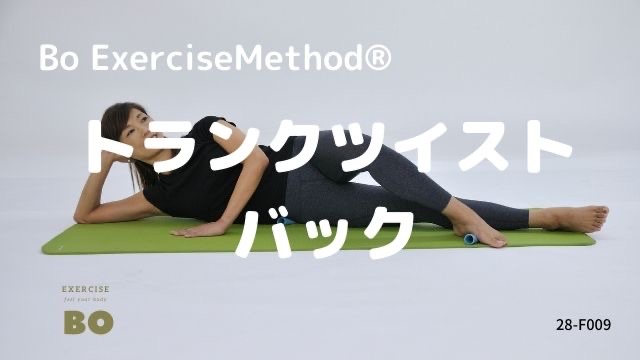 28-F009　トランクツイストバック