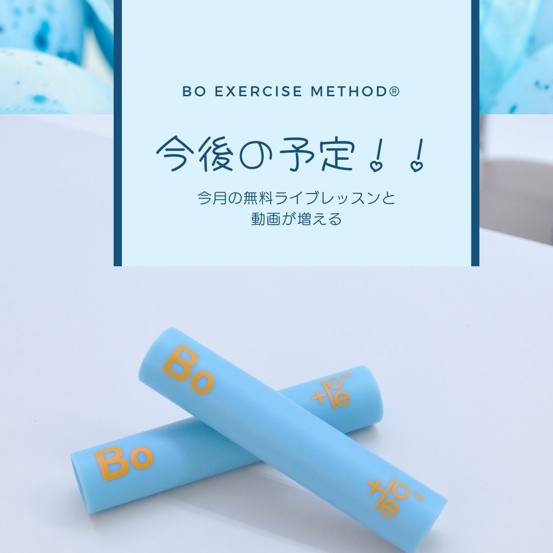 Bo動画配信サービス　今後の予定