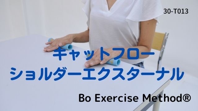 33-T013 キャットフローショルダーエクスターナル